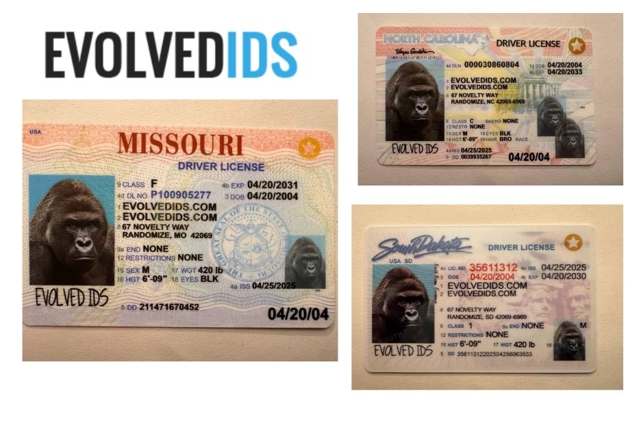 evolvedids com 1773720358347 48490919